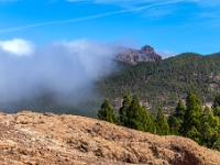 W drodze do Roque Nublo